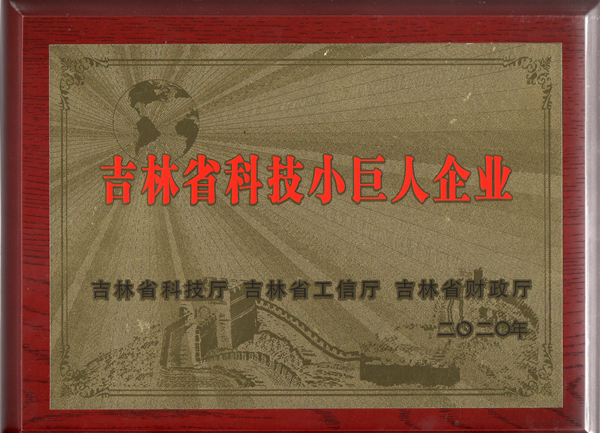 0乐鱼电子,乐鱼电子(中国)物业获“吉林省科技小巨人企业”称号_副本.jpg