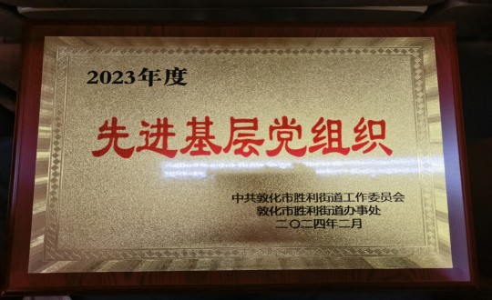 2024年2月1日，物业总公司敦化项目党支部被授予“2023年度先进基层党组织”荣誉称号_副本.jpg