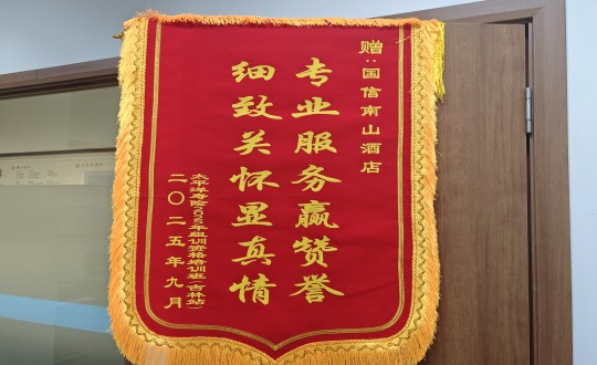 14.酒店公司荣获锦旗_副本.jpg